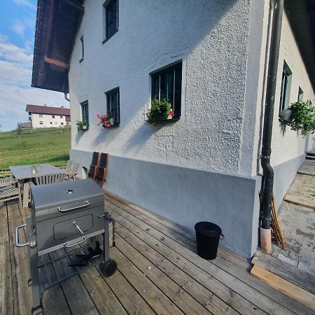 Ferienhaus Am Dachsberg, Bayerischer Wald Daire Haselbach Dış mekan fotoğraf