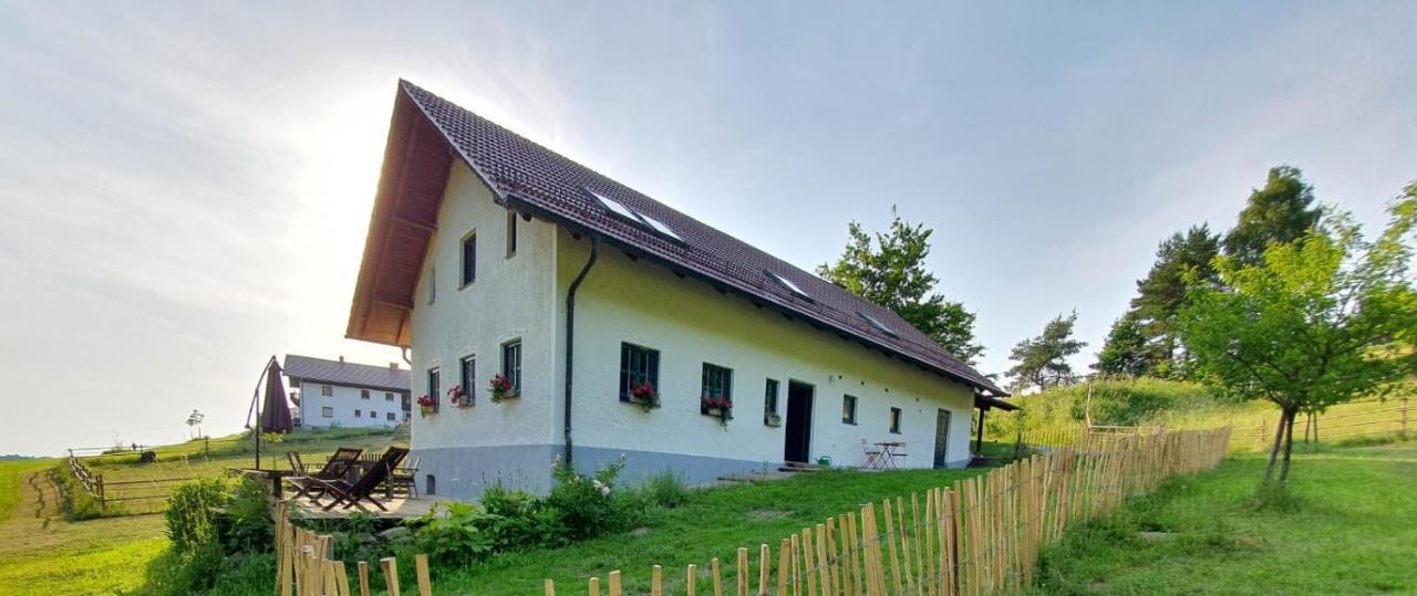 Ferienhaus Am Dachsberg, Bayerischer Wald Daire Haselbach Dış mekan fotoğraf