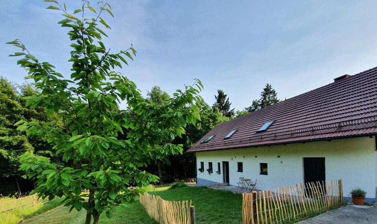 Ferienhaus Am Dachsberg, Bayerischer Wald Daire Haselbach Dış mekan fotoğraf