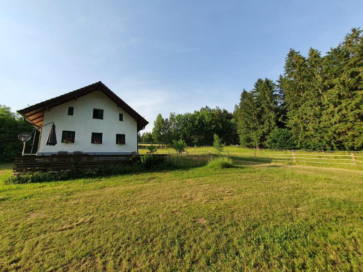 Ferienhaus Am Dachsberg, Bayerischer Wald Daire Haselbach Dış mekan fotoğraf