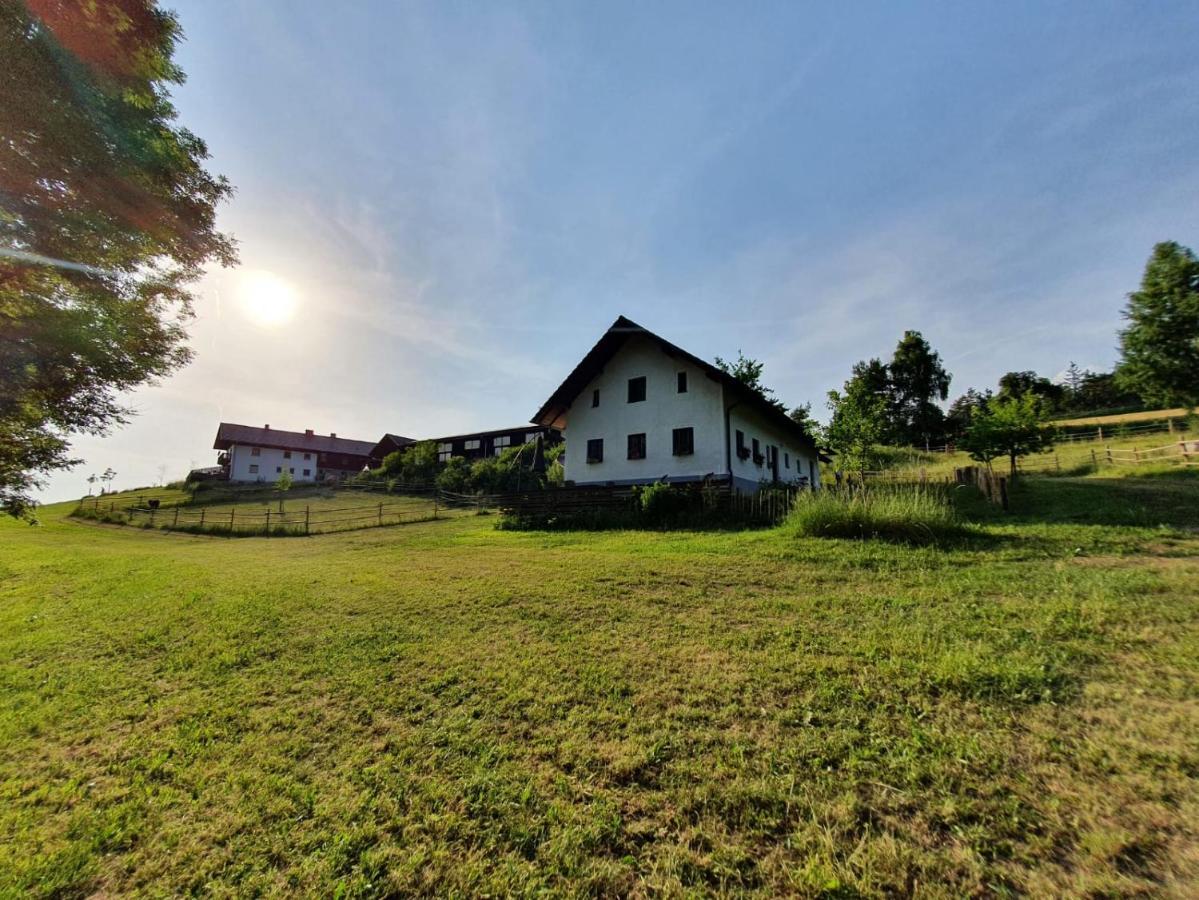 Ferienhaus Am Dachsberg, Bayerischer Wald Daire Haselbach Dış mekan fotoğraf