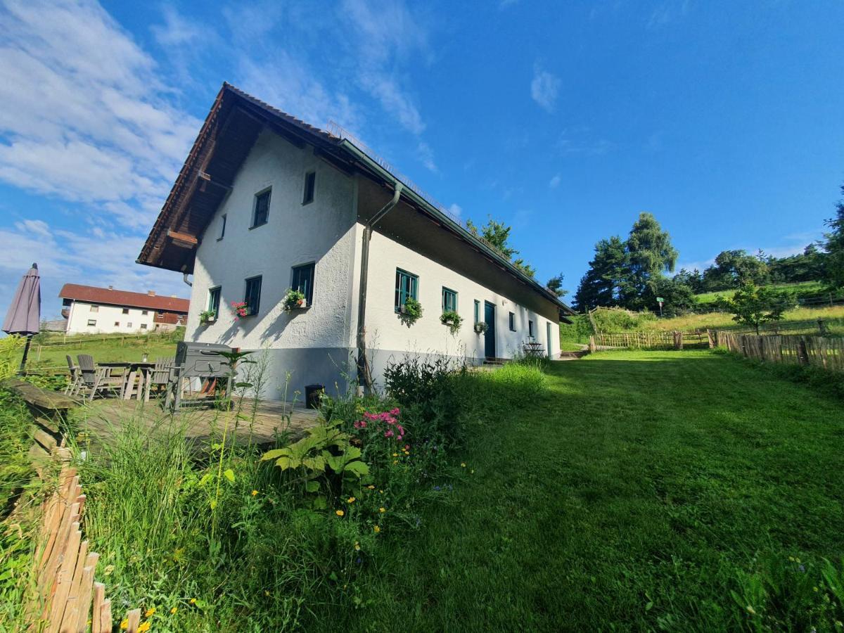 Ferienhaus Am Dachsberg, Bayerischer Wald Daire Haselbach Dış mekan fotoğraf